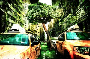 end-of-the-world-560859_640
